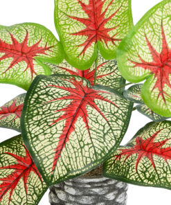 Alternative view of GloboStar® Artificial Garden CALADIUM 20891 Τεχνητό Διακοσμητικό Φυτό Τροπικό Φυτό Καλάδιο Φ40 x Υ33cm