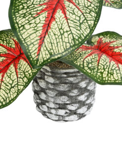 GloboStar® Artificial Garden CALADIUM 20891 Τεχνητό Διακοσμητικό Φυτό Τροπικό Φυτό Καλάδιο Φ40 x Υ33cm 9 20891 4