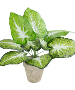 GloboStar® GloboStar® Artificial Garden CALADIUM POTTED PLANT 20894 Διακοσμητικό Φυτό Καλάντιουμ Φ40 x Υ33cm