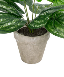 GloboStar® Artificial Garden SILVER POTHOS POTTED PLANT 20896 Διακοσμητικό Φυτό Πόθος Φ40 x Υ33cm 9 20896 4
