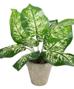 GloboStar® GloboStar® Artificial Garden DIEFFENBACHIA POTTED PLANT 20897 Διακοσμητικό Φυτό Διφενμπάχια Φ40 x Υ33cm