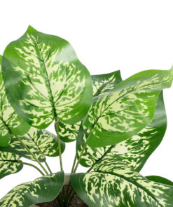 Alternative view of GloboStar® Artificial Garden DIEFFENBACHIA POTTED PLANT 20897 Διακοσμητικό Φυτό Διφενμπάχια Φ40 x Υ33cm