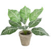 GloboStar® GloboStar® Artificial Garden ZEBRA POTTED PLANT 20898 Διακοσμητικό Φυτό Ζέμπρα Φ40 x Υ33cm