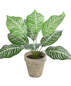 GloboStar® GloboStar® Artificial Garden ZEBRA POTTED PLANT 20898 Διακοσμητικό Φυτό Ζέμπρα Φ40 x Υ33cm