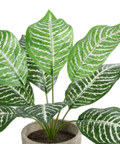 Alternative view of GloboStar® Artificial Garden ZEBRA POTTED PLANT 20898 Διακοσμητικό Φυτό Ζέμπρα Φ40 x Υ33cm