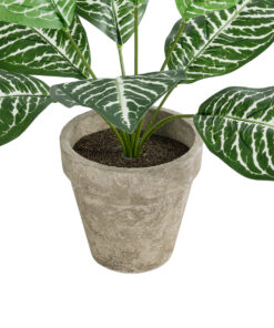 GloboStar® Artificial Garden ZEBRA POTTED PLANT 20898 Διακοσμητικό Φυτό Ζέμπρα Φ40 x Υ33cm 9 20898 4