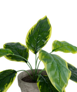 Alternative view of GloboStar® Artificial Garden YELLOW HOSTA PLANT 20899 Τεχνητό Διακοσμητικό Φυτό Κίτρινη Χόστα Φ45 x Υ40cm