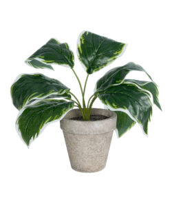 GloboStar® GloboStar® Artificial Garden WHITE HOSTA PLANT 20900 Διακοσμητικό Φυτό Λευκή  Χόστα Φ45 x Υ40cm