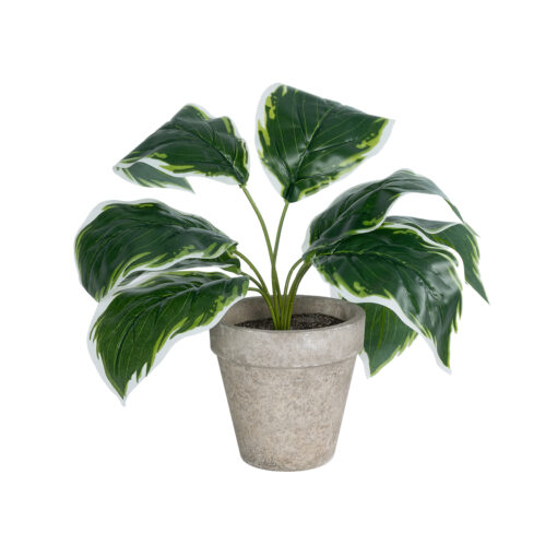 GloboStar® GloboStar® Artificial Garden WHITE HOSTA PLANT 20900 Διακοσμητικό Φυτό Λευκή  Χόστα Φ45 x Υ40cm