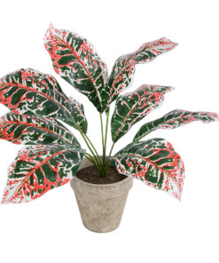 GloboStar® GloboStar® Artificial Garden RED AGLAONEMA POTTED PLANT 20901 Διακοσμητικό Φυτό Κόκκινο Αγλαόνημα Φ40 x Υ33cm