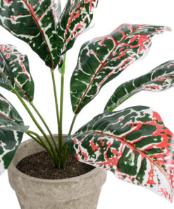 Alternative view of GloboStar® Artificial Garden RED AGLAONEMA POTTED PLANT 20901 Διακοσμητικό Φυτό Κόκκινο Αγλαόνημα Φ40 x Υ33cm