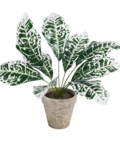 GloboStar® GloboStar® Artificial Garden WHITE AGLAONEMA POTTED PLANT 20903 Διακοσμητικό Φυτό Λευκό Αγλαόνημα Φ40 x Υ33cm