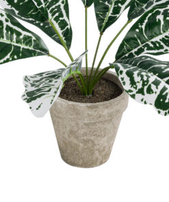 GloboStar® Artificial Garden WHITE AGLAONEMA POTTED PLANT 20903 Διακοσμητικό Φυτό Λευκό Αγλαόνημα Φ40 x Υ33cm 9 20903 4