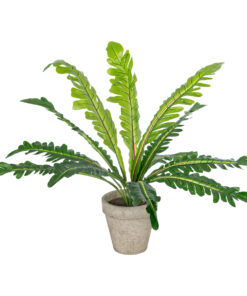 GloboStar® GloboStar® Artificial Garden  ASPLENIUM POTTED PLANT 20904 Διακοσμητικό Φυτό Aslenium Φ40 x Υ33cm