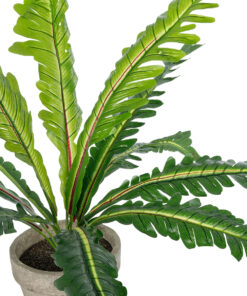 Alternative view of GloboStar® Artificial Garden  ASPLENIUM POTTED PLANT 20904 Διακοσμητικό Φυτό Aslenium Φ40 x Υ33cm