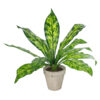 GloboStar® GloboStar® Artificial Garden  SPATHIPHYLLUM POTTED PLANT 20905 Διακοσμητικό Φυτό Σπαθίφυλλο Φ40 x Υ33cm