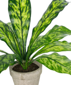 Alternative view of GloboStar® Artificial Garden  SPATHIPHYLLUM POTTED PLANT 20905 Διακοσμητικό Φυτό Σπαθίφυλλο Φ40 x Υ33cm