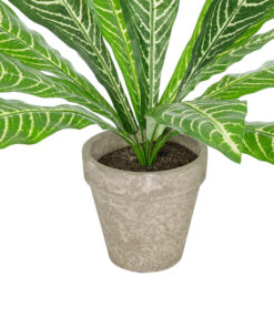 GloboStar® Artificial Garden ZEBRA POTTED PLANT 20906 Διακοσμητικό Φυτό Ζέμπρα Φ40 x Υ33cm 9 20906 4