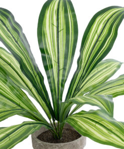 Alternative view of GloboStar® Artificial Garden  DRACAENA POTTED PLANT 20907 Διακοσμητικό Φυτό Δράκενα Φ40 x Υ33cm