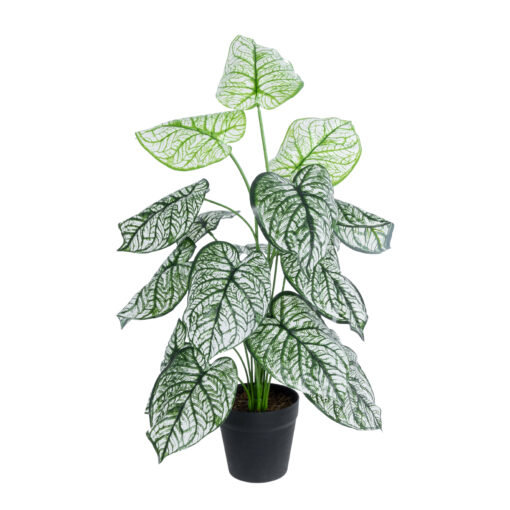 GloboStar® GloboStar® Artificial Garden CALADIUM 20908 Διακοσμητικό Φυτό Καλάδια Υ75cm