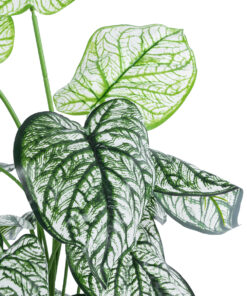 GloboStar® Artificial Garden CALADIUM 20908 Διακοσμητικό Φυτό Καλάδια Υ75cm 8 20908 3