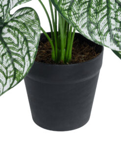 GloboStar® Artificial Garden CALADIUM 20908 Διακοσμητικό Φυτό Καλάδια Υ75cm 9 20908 4