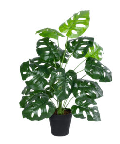 GloboStar® GloboStar® Artificial Garden MONSTERA PLANT 20909 - Διακοσμητικό Φυτό Μονστέρα Φ50 x Υ75cm