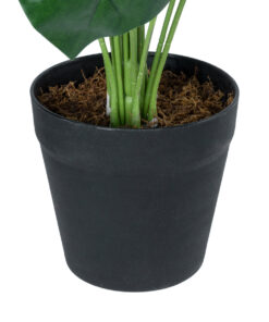 GloboStar® Artificial Garden MONSTERA PLANT 20909 - Διακοσμητικό Φυτό Μονστέρα Φ50 x Υ75cm 9 20909 4