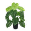 GloboStar® GloboStar® Artificial Garden PHILODENDRON PLANT 20910 Διακοσμητικό Φυτό Φυλλόδεντρο Φ70 x Υ75cm