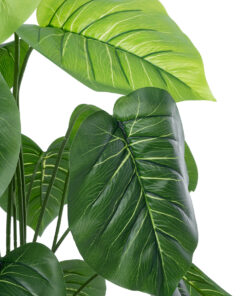 Alternative view of GloboStar® Artificial Garden PHILODENDRON PLANT 20910 Διακοσμητικό Φυτό Φυλλόδεντρο Φ70 x Υ75cm