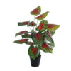 GloboStar® GloboStar® Artificial Garden CALADIUM MIX 20911 Διακοσμητικό Φυτό Καλάντιουμ Υ75cm