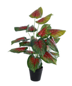 GloboStar® GloboStar® Artificial Garden CALADIUM MIX 20911 Διακοσμητικό Φυτό Καλάντιουμ Υ75cm