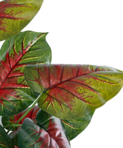 GloboStar® Artificial Garden CALADIUM MIX 20911 Διακοσμητικό Φυτό Καλάντιουμ Υ75cm 8 20911 3