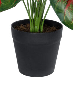 GloboStar® Artificial Garden CALADIUM MIX 20911 Διακοσμητικό Φυτό Καλάντιουμ Υ75cm 9 20911 4