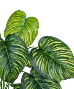 Alternative view of GloboStar® Artificial Garden CALATHEA PLANT 20912 Διακοσμητικό Φυτό Καλαθέα Φ55 x Υ75cm
