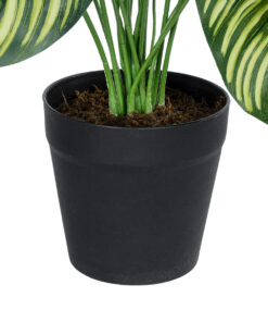 GloboStar® Artificial Garden CALATHEA PLANT 20912 Διακοσμητικό Φυτό Καλαθέα Φ55 x Υ75cm 9 20912 4