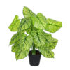 GloboStar® GloboStar® Artificial Garden CALADIUM PLANT 20913 Διακοσμητικό Φυτό Καλάντιουμ Φ55 x Υ75cm
