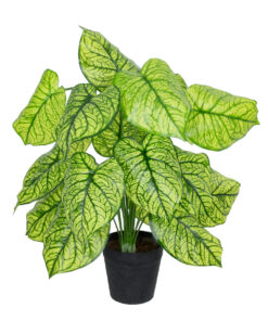 GloboStar® GloboStar® Artificial Garden CALADIUM PLANT 20913 Διακοσμητικό Φυτό Καλάντιουμ Φ55 x Υ75cm