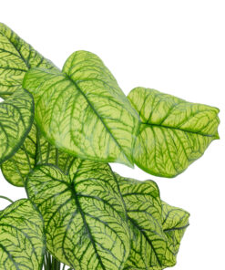 Alternative view of GloboStar® Artificial Garden CALADIUM PLANT 20913 Διακοσμητικό Φυτό Καλάντιουμ Φ55 x Υ75cm