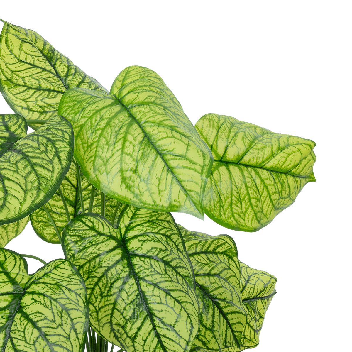 GloboStar® Artificial Garden CALADIUM PLANT 20913 Διακοσμητικό Φυτό Καλάντιουμ Φ55 x Υ75cm 4 GloboStar® Artificial Garden CALADIUM PLANT 20913 Διακοσμητικό Φυτό Καλάντιουμ Φ55 x Υ75cm - Image 2