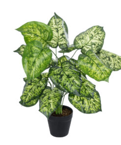 GloboStar® GloboStar® Artificial Garden DIEFFENBACHIA PLANT 20914 Διακοσμητικό Φυτό Διφενμπάχια Φ58 x Υ75cm