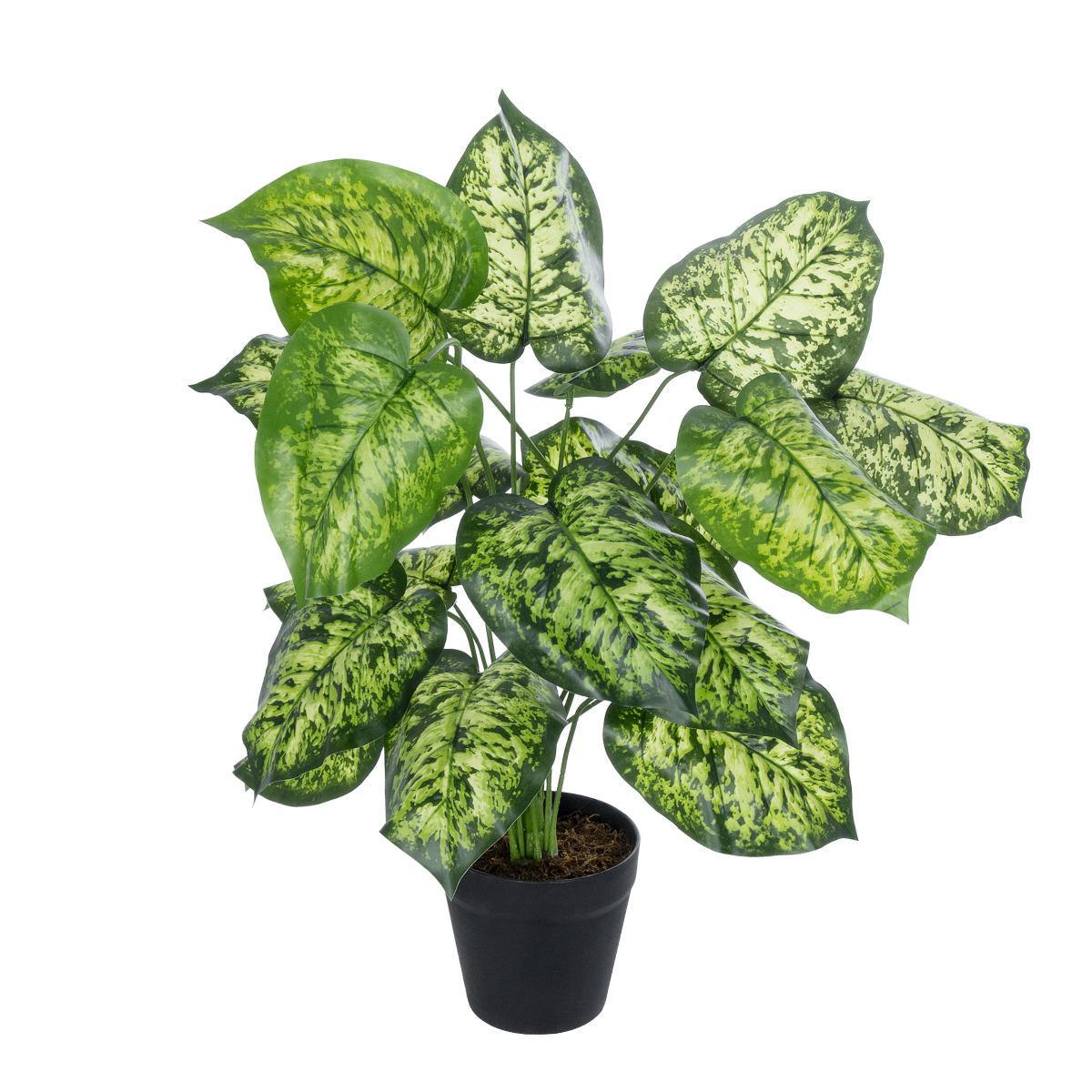 GloboStar® Artificial Garden DIEFFENBACHIA PLANT 20914 Διακοσμητικό Φυτό Διφενμπάχια Φ58 x Υ75cm 3 GloboStar® GloboStar® Artificial Garden DIEFFENBACHIA PLANT 20914 Διακοσμητικό Φυτό Διφενμπάχια Φ58 x Υ75cm