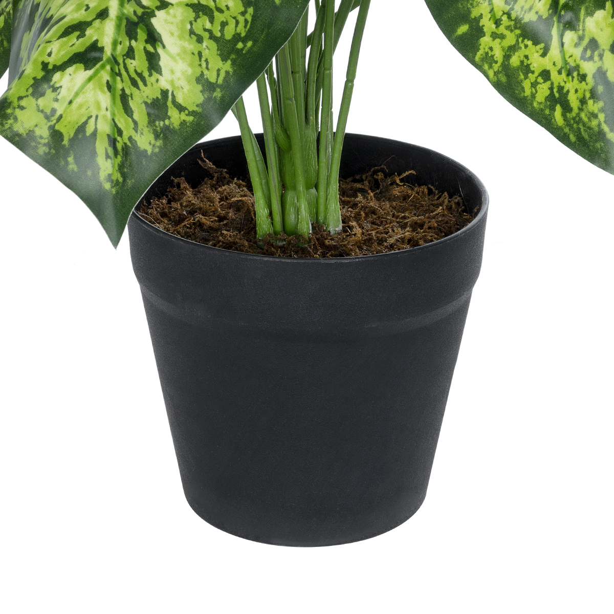GloboStar® Artificial Garden DIEFFENBACHIA PLANT 20914 Διακοσμητικό Φυτό Διφενμπάχια Φ58 x Υ75cm 5 GloboStar® Artificial Garden DIEFFENBACHIA PLANT 20914 Διακοσμητικό Φυτό Διφενμπάχια Φ58 x Υ75cm - Image 3