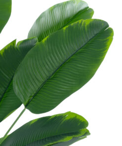 Alternative view of GloboStar® Artificial Garden YOUNG BANANA PLANT 20916 - Διακοσμητικό Φυτό Νεαρή Μπανανιά Φ82 x Υ80cm