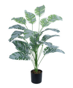 GloboStar® GloboStar® Artificial Garden BANANA ZEBRA PLANT 20919 - Διακοσμητικό Φυτό Μπανανιά Ζέβρα Φ78 x Υ80cm
