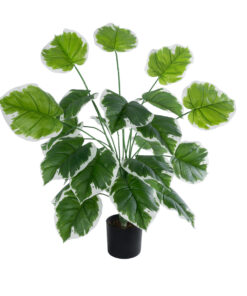 GloboStar® GloboStar® Artificial Garden WHITE HOSTA PLANT 20920 Διακοσμητικό Φυτό Λευκή Χόστα Φ87 x Υ80cm