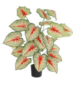GloboStar® GloboStar® Artificial Garden CALADIUM PLANT 20921 Διακοσμητικό Φυτό Καλάντιουμ Φ75 x Υ80cm