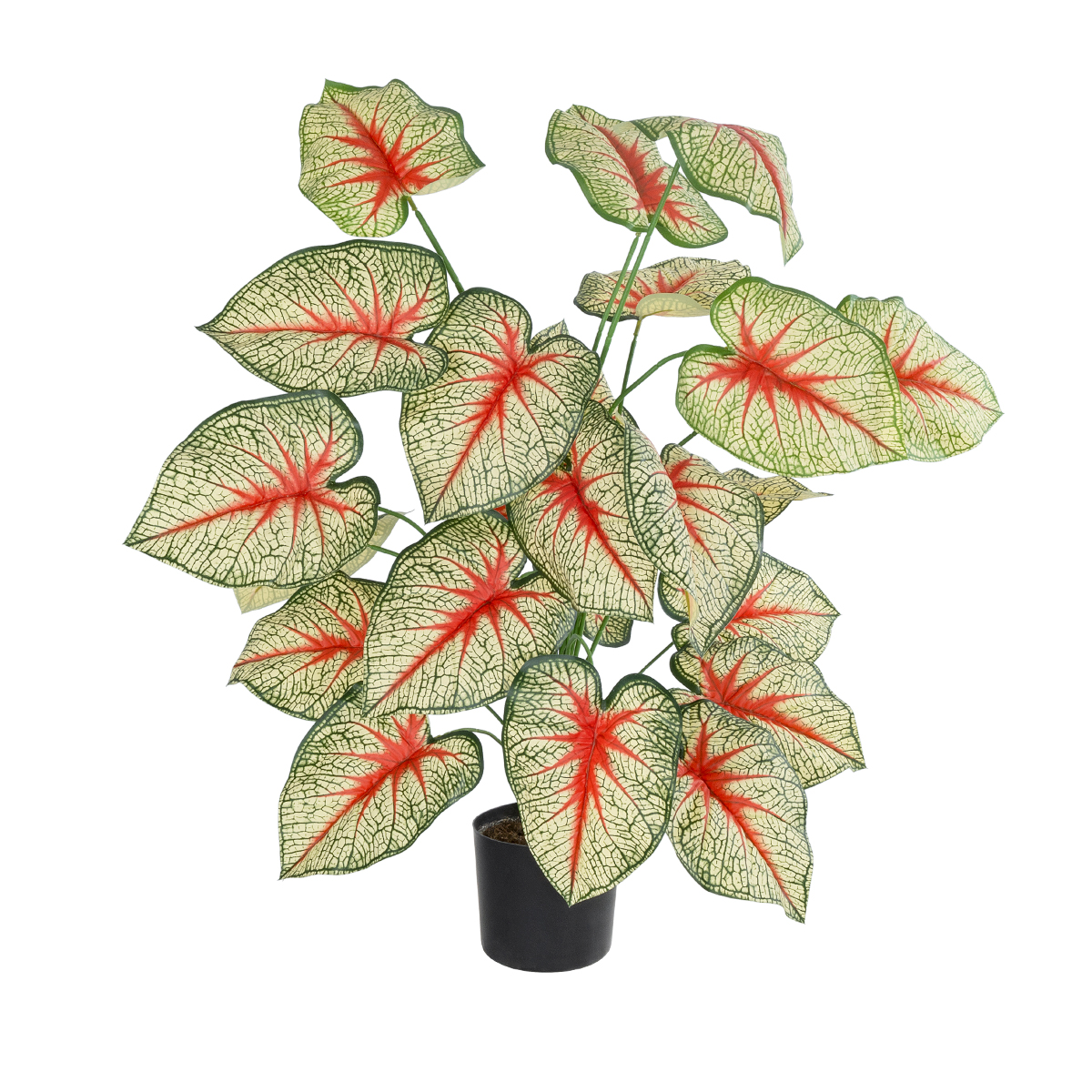 GloboStar® Artificial Garden CALADIUM PLANT 20921 Διακοσμητικό Φυτό Καλάντιουμ Φ75 x Υ80cm 3 GloboStar® GloboStar® Artificial Garden CALADIUM PLANT 20921 Διακοσμητικό Φυτό Καλάντιουμ Φ75 x Υ80cm