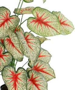 Alternative view of GloboStar® Artificial Garden CALADIUM PLANT 20921 Διακοσμητικό Φυτό Καλάντιουμ Φ75 x Υ80cm