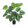 GloboStar® GloboStar® Artificial Garden CALATHEA PLANT 20922 Διακοσμητικό Φυτό Καλαθέα Φ70 x Υ80cm